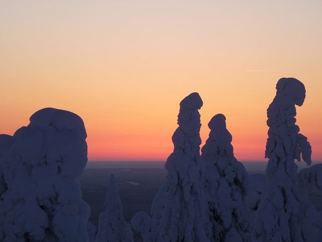Laponia. (Photo: Trespa)