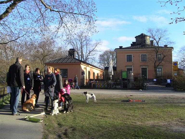 Observatoriekullens framtid utreds nu av Stockholms stad